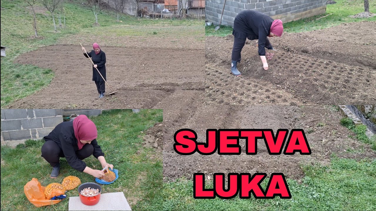 Teško i naporno,ruke pune žuljeva al je duša ispunjena🤲❤️