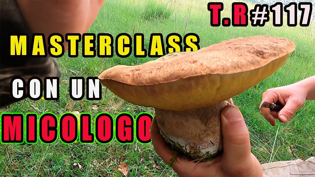 ⚠️MASTERCLASS ⚠️CON UN BUEN MICOLOGO🍄