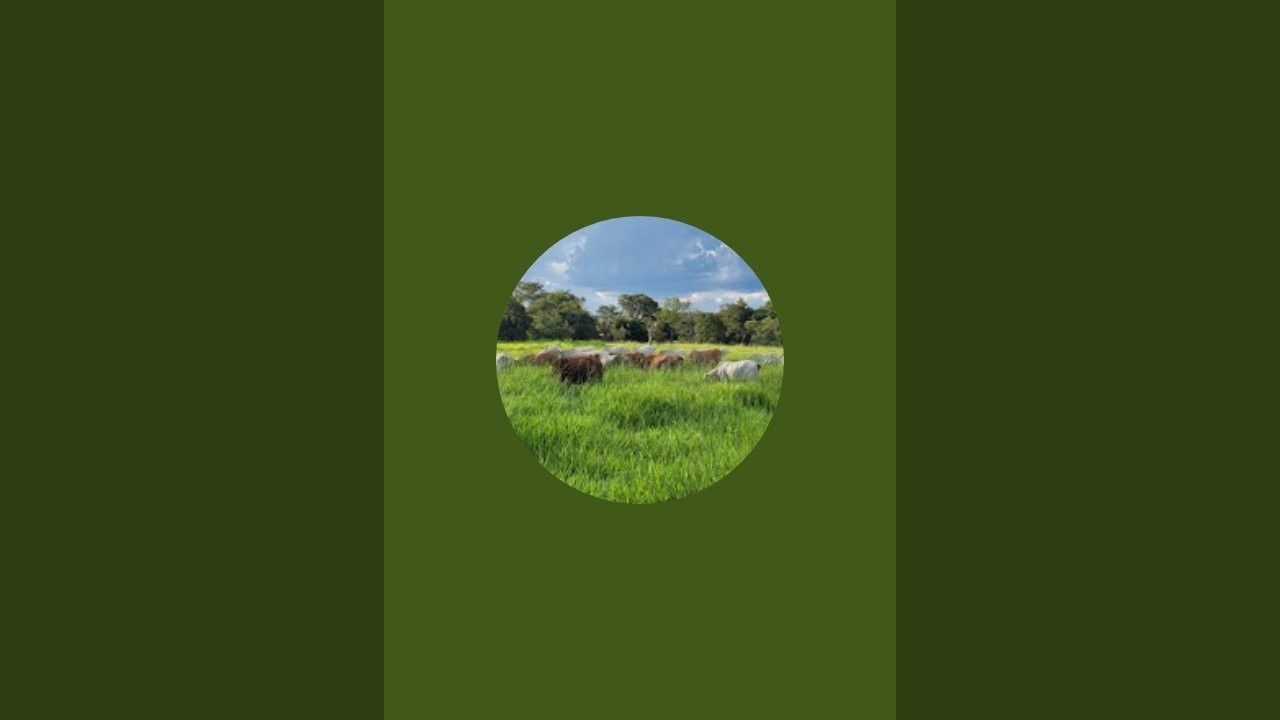 Hungaro Nomads is live!