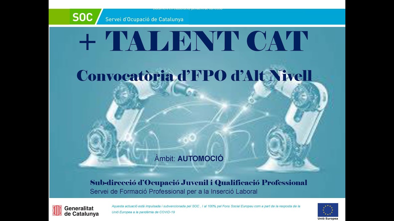 Webinar +Talencat i programes de formació professional: Àmbit automoció