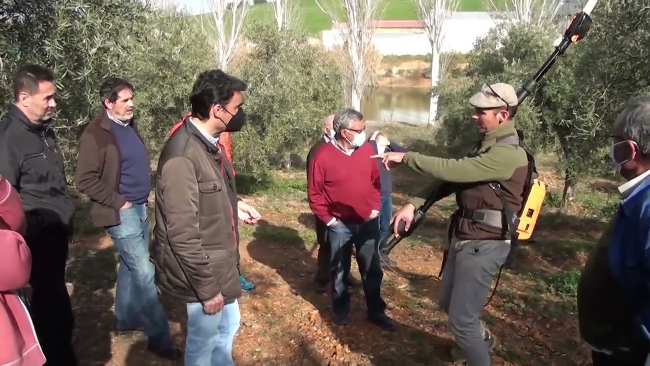 Ciclo Formativo Olivarero: Poda de Olivo en Vaso y Seto - Clase Práctica Parte 1 Finca La Pontezuela