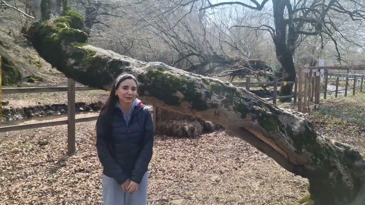 "Ogey Ana" filminin çəkildiyi yerə getdim