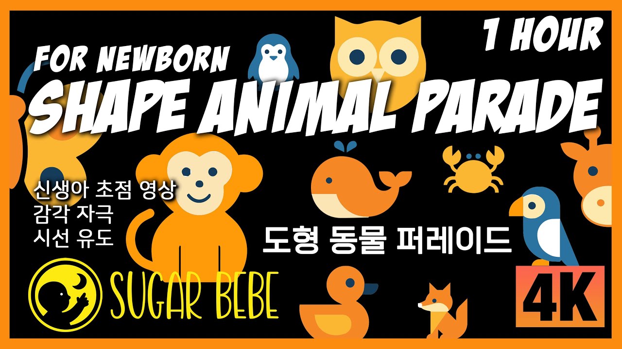 도형 동물 퍼레이드 초점영상 Animal Parade - Visual Focus & Sensory Stimulation for Babies #초점영상 #신생아놀이