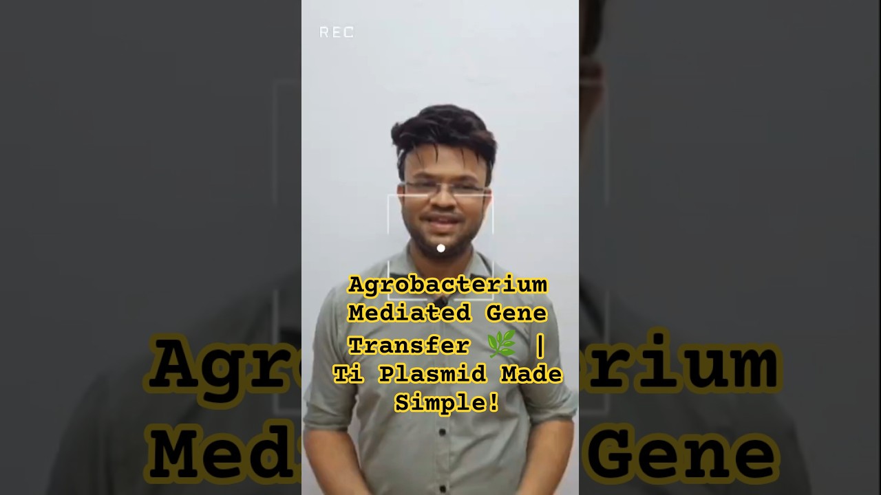 Agrobacterium Gene Transfer Explained 🔥| Ti Plasmid & T-DNA Mechanism |  GATE BT & CSIR NET💯