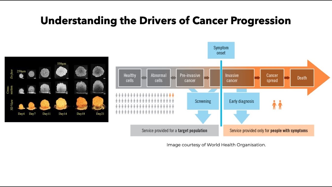 Introduction to Omics Logic Training on Bioinformatics for Precision Oncology
