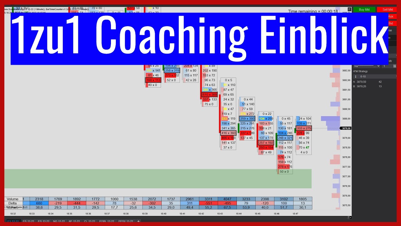 1zu1 Coaching Einblick
