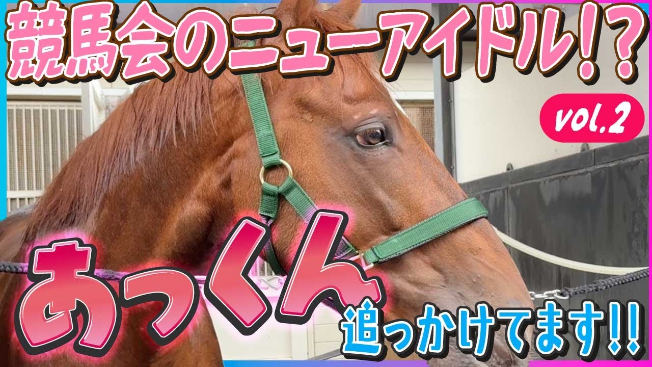 【アーレムアレスVol.2】アイドル要素満載の２歳馬・あっくんことアーレムアレスを追いかけています！今回は札幌２歳S前とレースの感想について。ぜひ､チェックしてください！