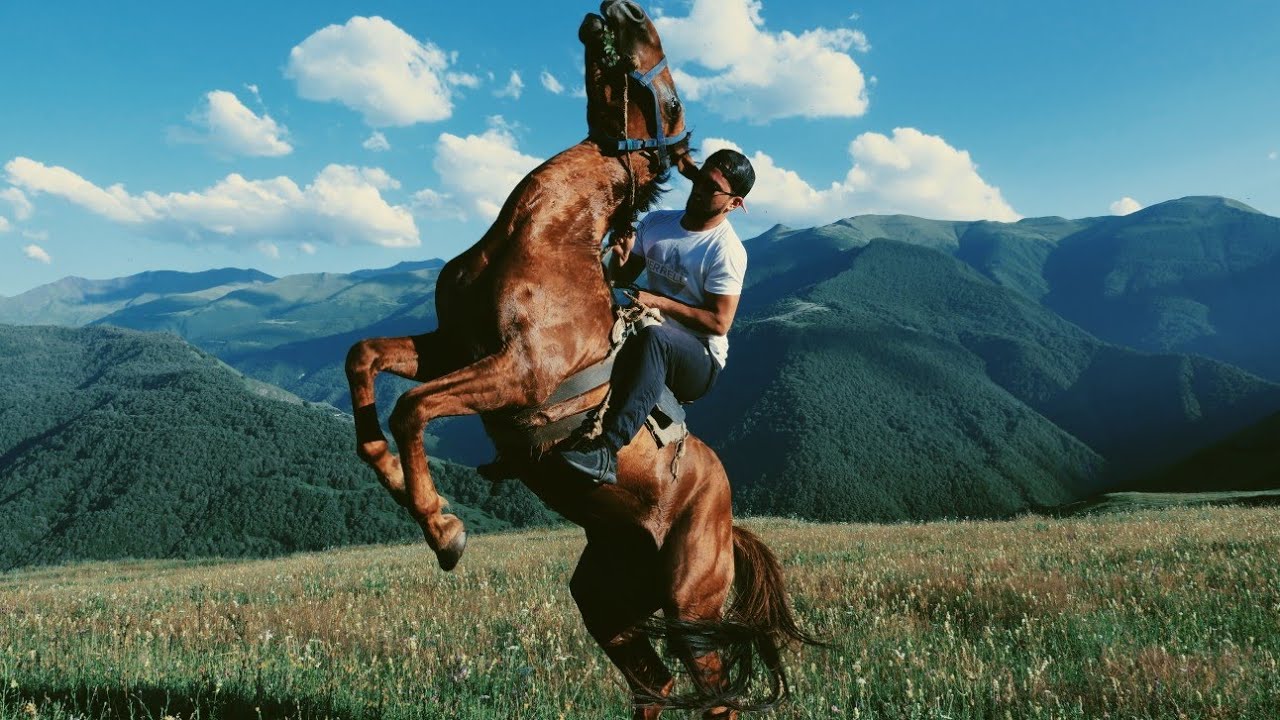 Самое красивое селение в Чечне