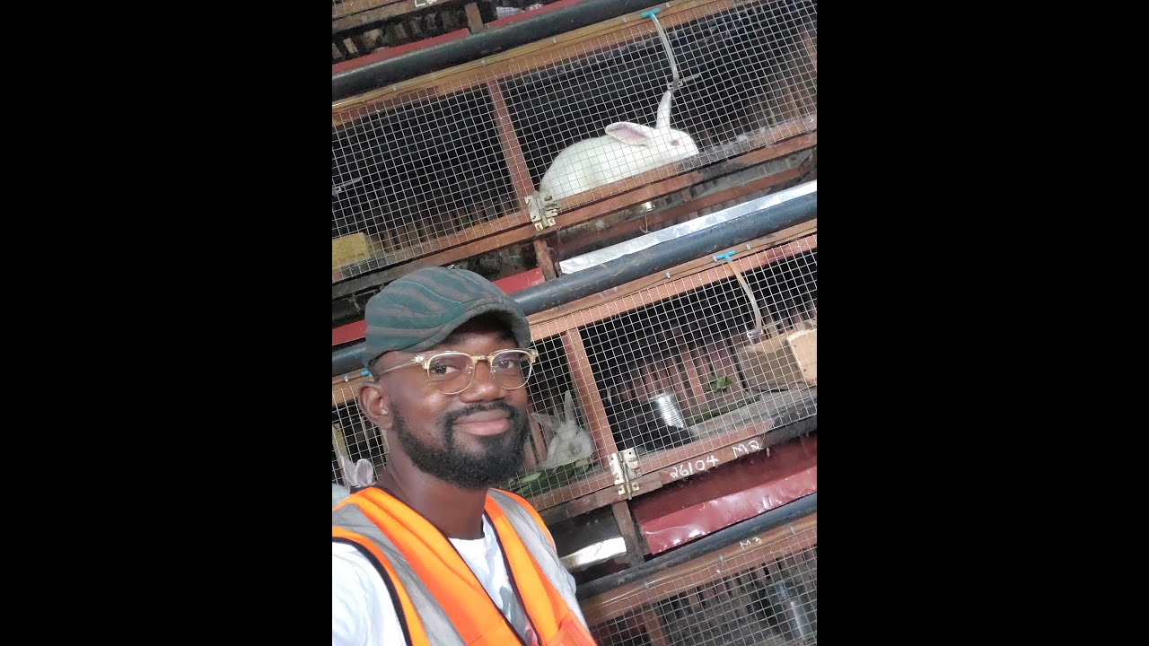 Comment réussir son élevage cunicole (Lapin)