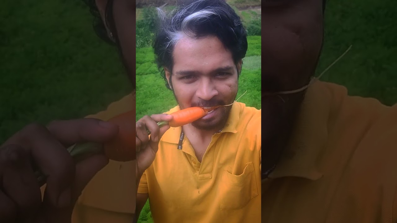 Freshly harvested carrot...🥕 🌱|| #trendingshorts #harvest