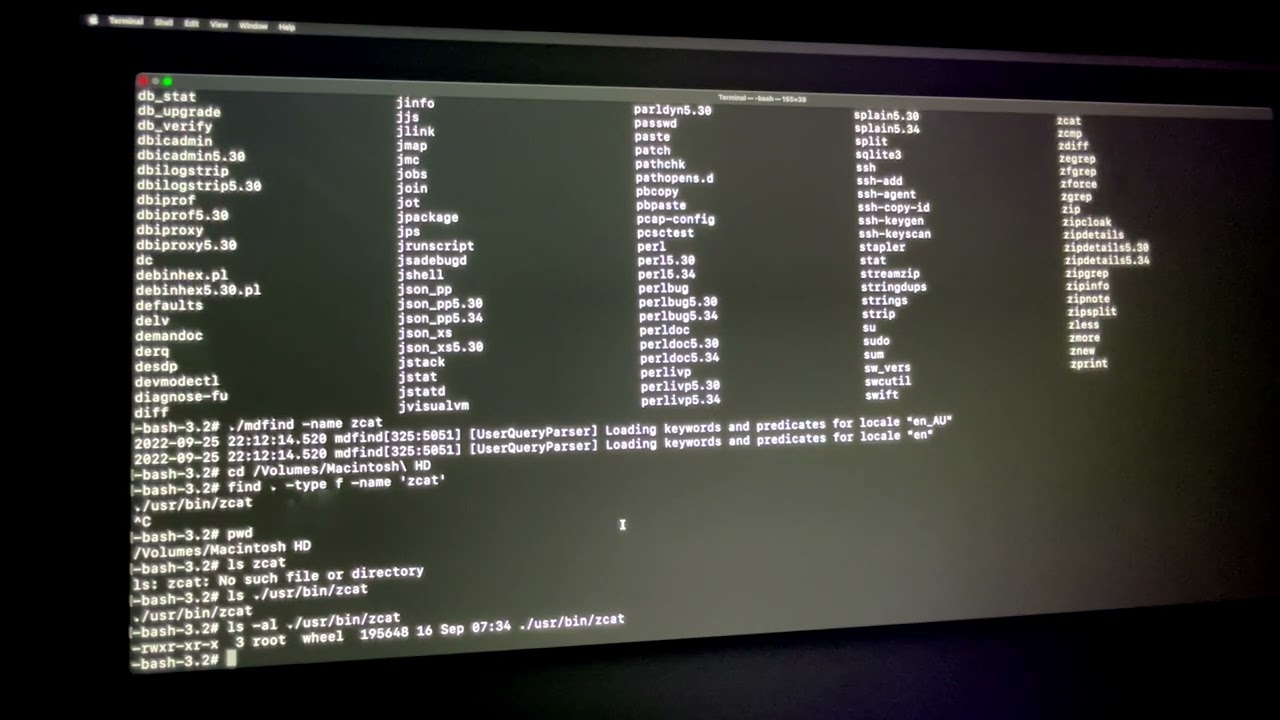 DIY: Find and delete files in recovery mode yourself (macOS)