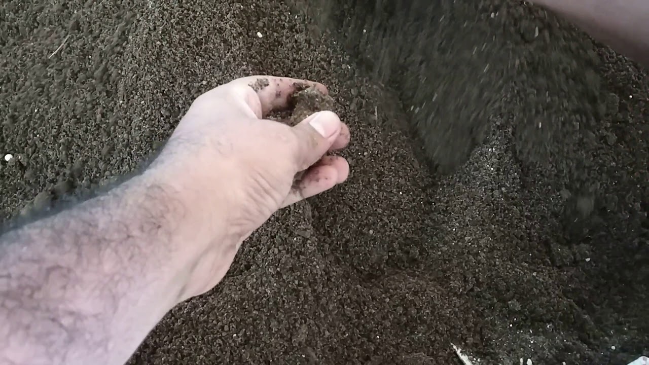 How to Prepare Soil for Roses(Puspanjali Pranabir)