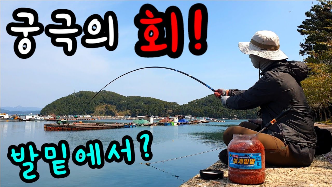 낚시 발밑에 이게 있다고? 어복 터진 날! 굵은 녀석들이 쏟아진다! 궁극의 회를 먹어보자! 민장대레전드!