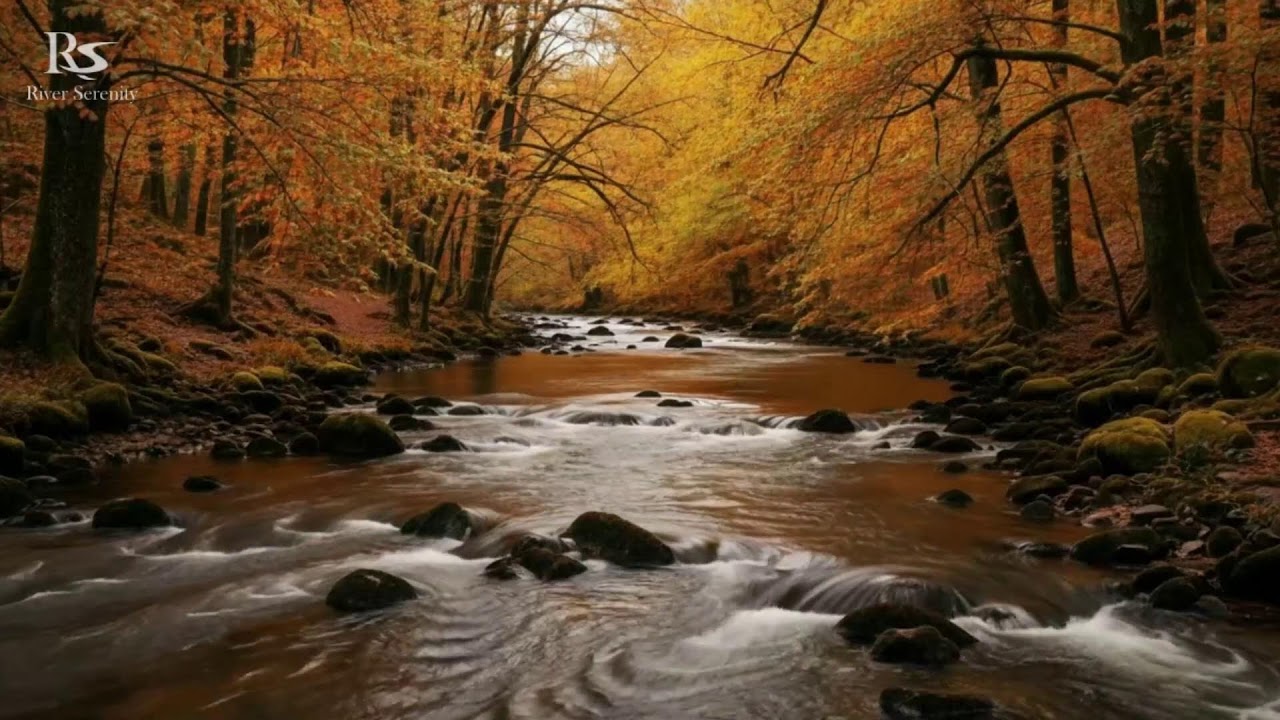River Sounds for Sleeping. Mountain River Waterfall Flowing 24/7. Water Sounds White Noise. #asmr 3