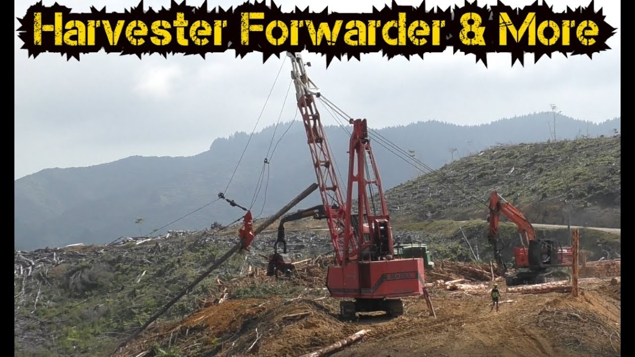 Madill 124 swingyarder | Newzealand