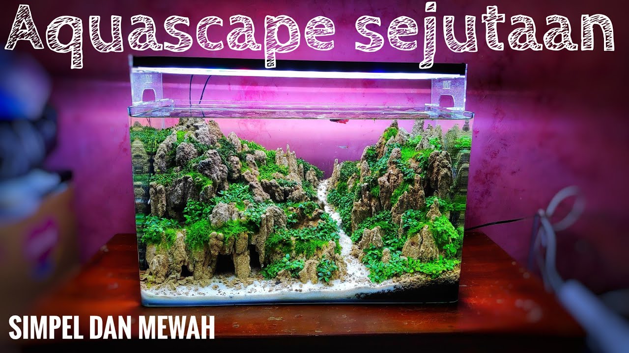 #164 Aquascape tema bukit,simpel mudah dibuat