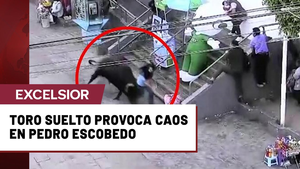 Toro suelto en calles de Querétaro lesiona a seis civiles