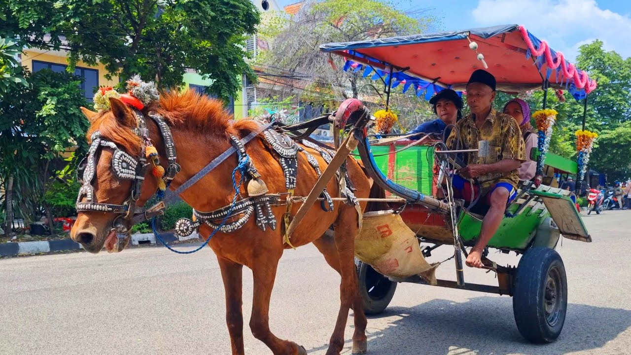 NAIK KUDA DELMAN ONDEL ONDEL BADUT JOGET LAGU DUA MATA SAYA I NAIK DELMAN ISTIMEWA I HORSE CARRIAGES