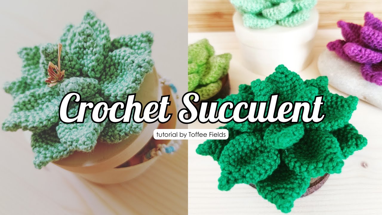How to Crochet Succulent Plant | Easy Amigurumi Tutorial for Beginners