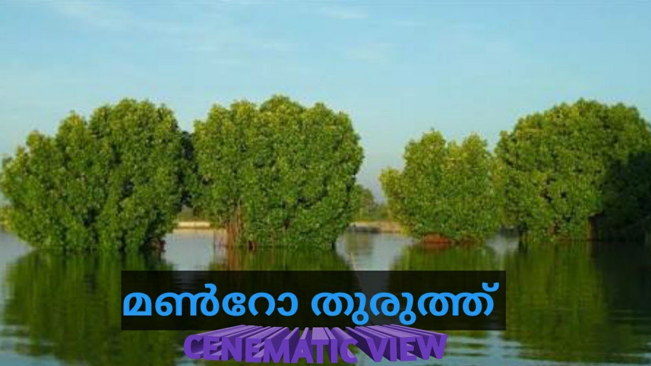 Cenematic View of Muroe Island