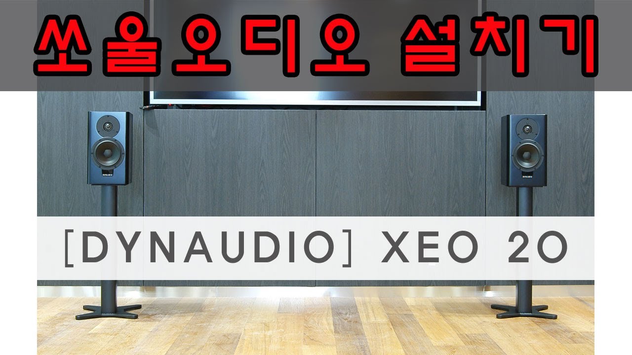 DYNAUDIO XEO 20