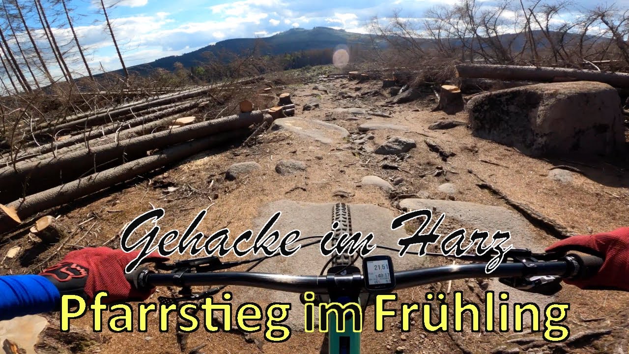 Pfarrstieg im Frühling || Enduro Gehacke im Harz