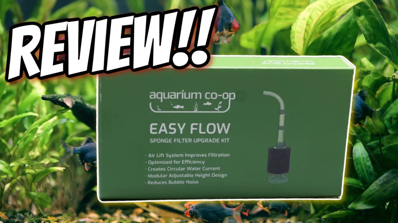 Обзор комплекта для модернизации губчатого фильтра Aquarium Co-Op Easy Flow!