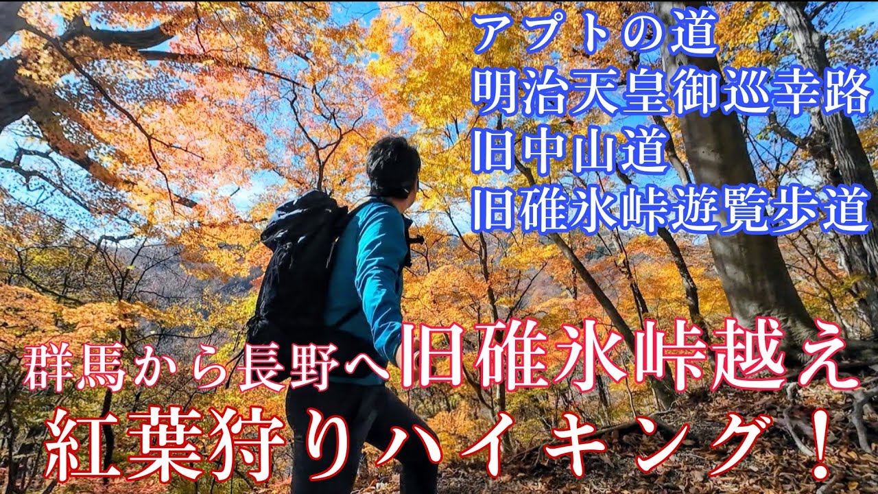 群馬から長野へ…旧碓氷峠越え☆紅葉狩りハイキング！【アプトの道・明治天皇御巡幸路・旧中山道・旧碓氷峠遊覧歩道】歴史と紅葉に彩られた美しい道を歩く秋のソロ登山！（2025/11/25）