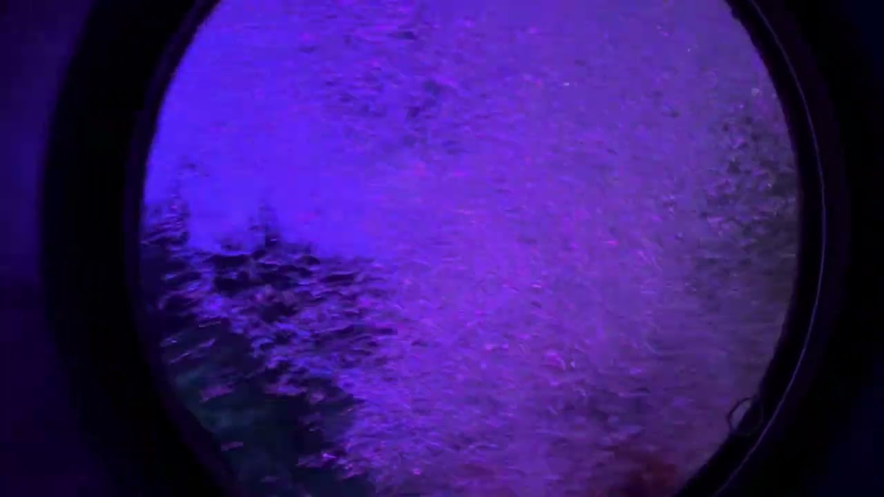 Finding Nemo Submarine Voyage Ride (Disneyland Resort) 2023 Full Ride