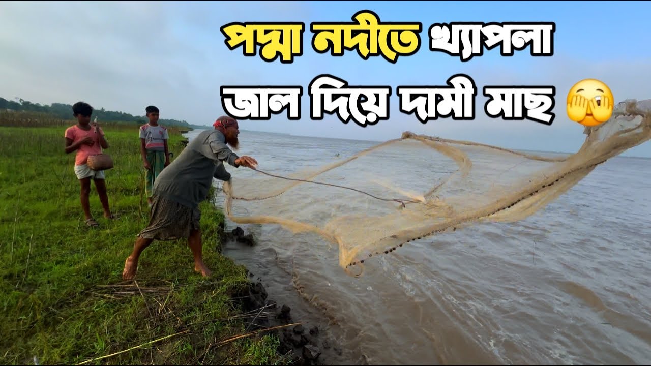 পদ্মা নদীর স্রোতে খ্যাপলা জাল দিয়ে মাছ ধরা / Real Fishing in Bangladesh #fishing #riverfishing