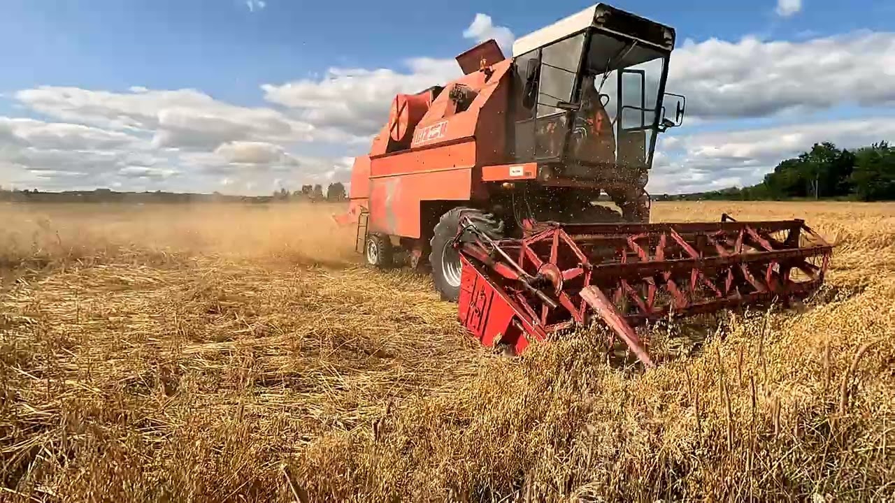 Bizon Gigant Z060 V8 ! Z wizytą u Rolnik Łukasz ! Jedyny taki gigant w Polsce ! 