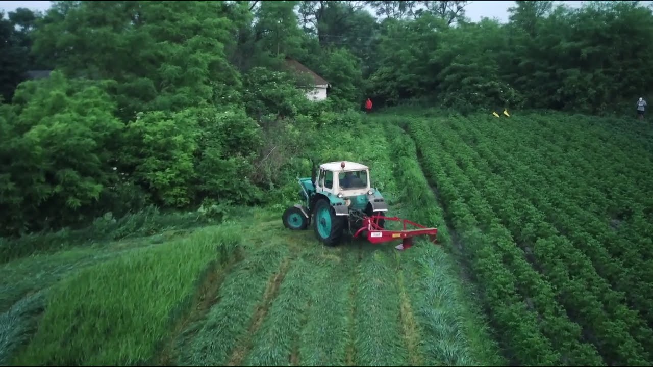 ЮМЗ із роторною косаркою Віракс шпарить на всю котушку