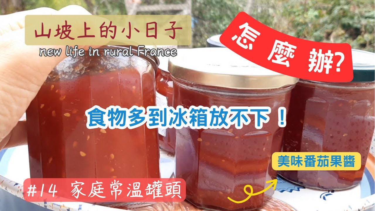 #14  番茄豐收怎麼吃一整年?｜簡單學習製作家庭常溫罐頭 ｜ 安全嗎? 了解真空罐裝原理不擔心｜ 秋收冬藏，無飢寒之憂，何為不樂？ ｜  My rural life in France