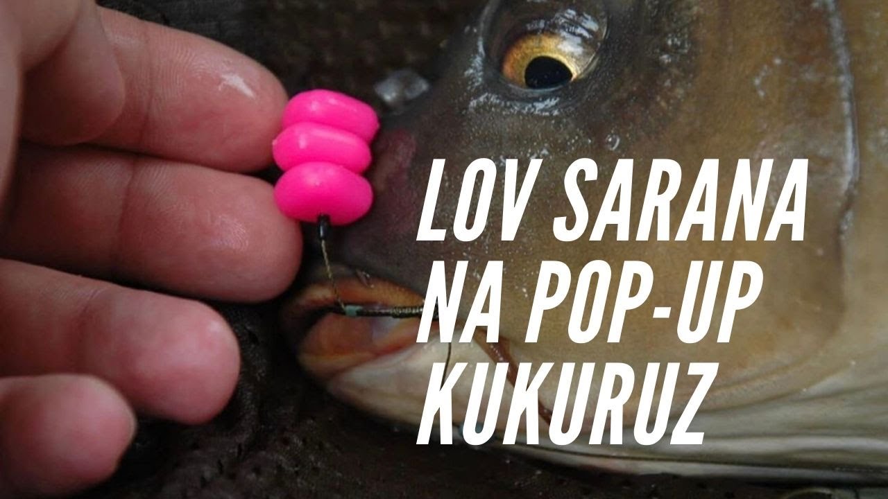 Pecanje Sarana na Gumeni-Umjetni Kukuruz /POP-UP Corn