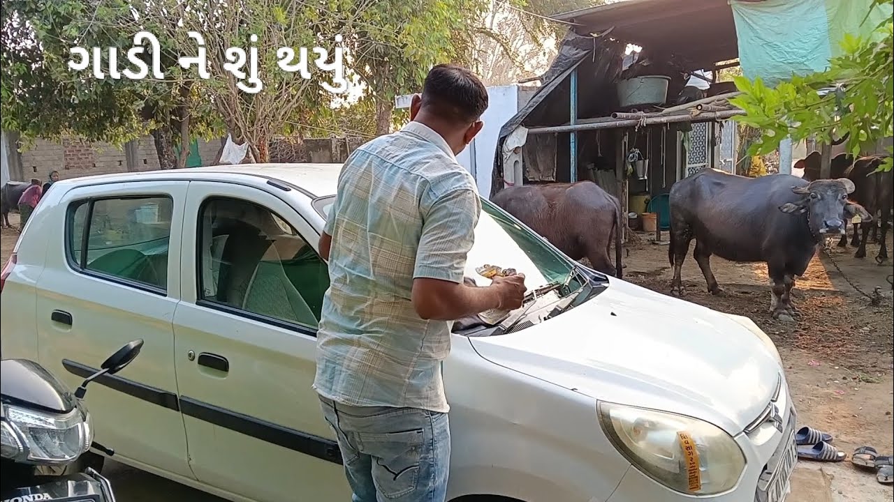 ગાડી ને શું થયું 😯/@meetvlogger001 /day 31