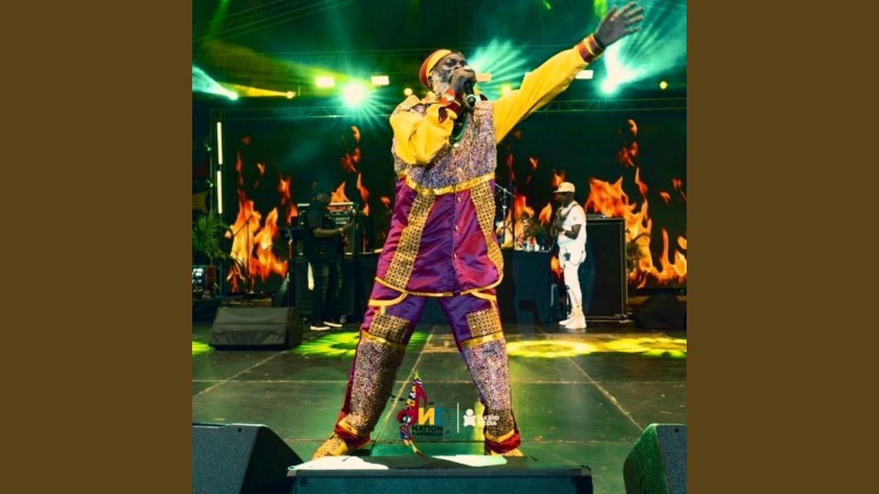The Prophet Live (One Nation Music Festival)