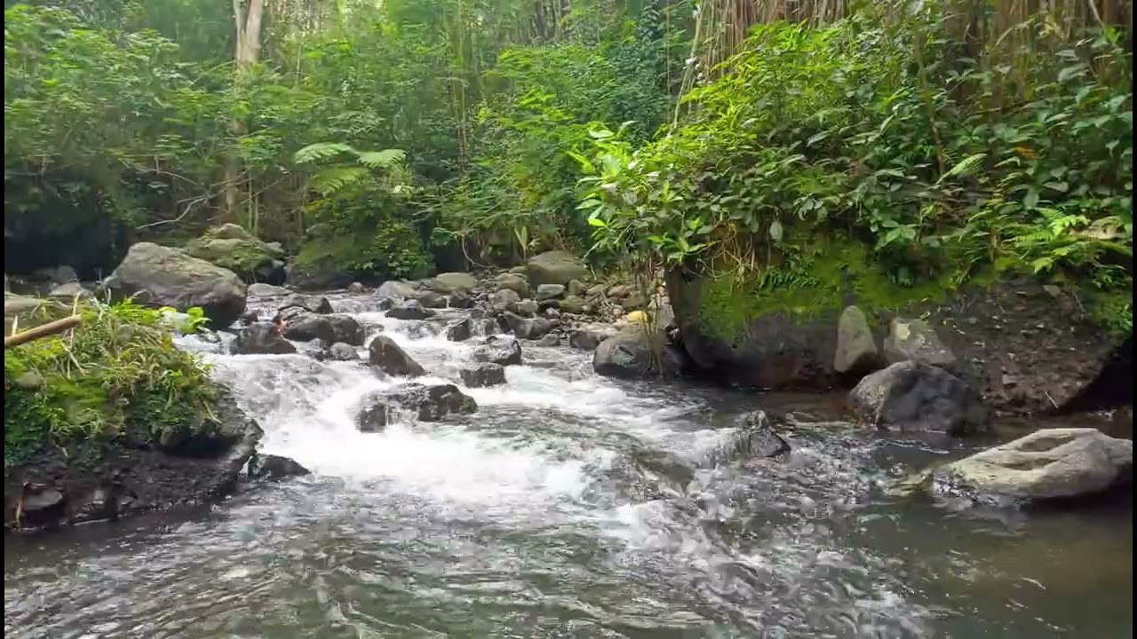 Night River Sounds for Sleeping All Night | Peaceful Nature White Noise