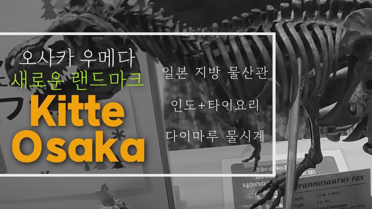 오사카 우메다의 새로운 랜드마크 Kitte 오사카 #Kitte大阪 #梅田