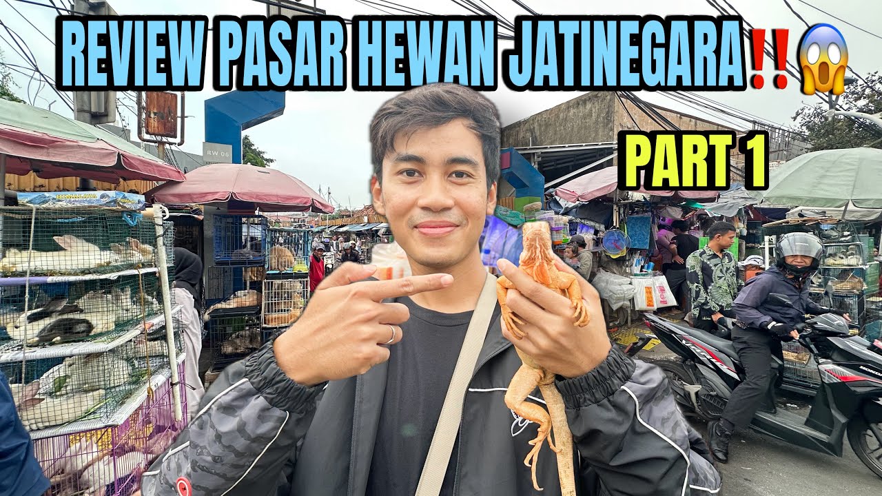 REVIEW PASAR HEWAN JATINEGARA 😱