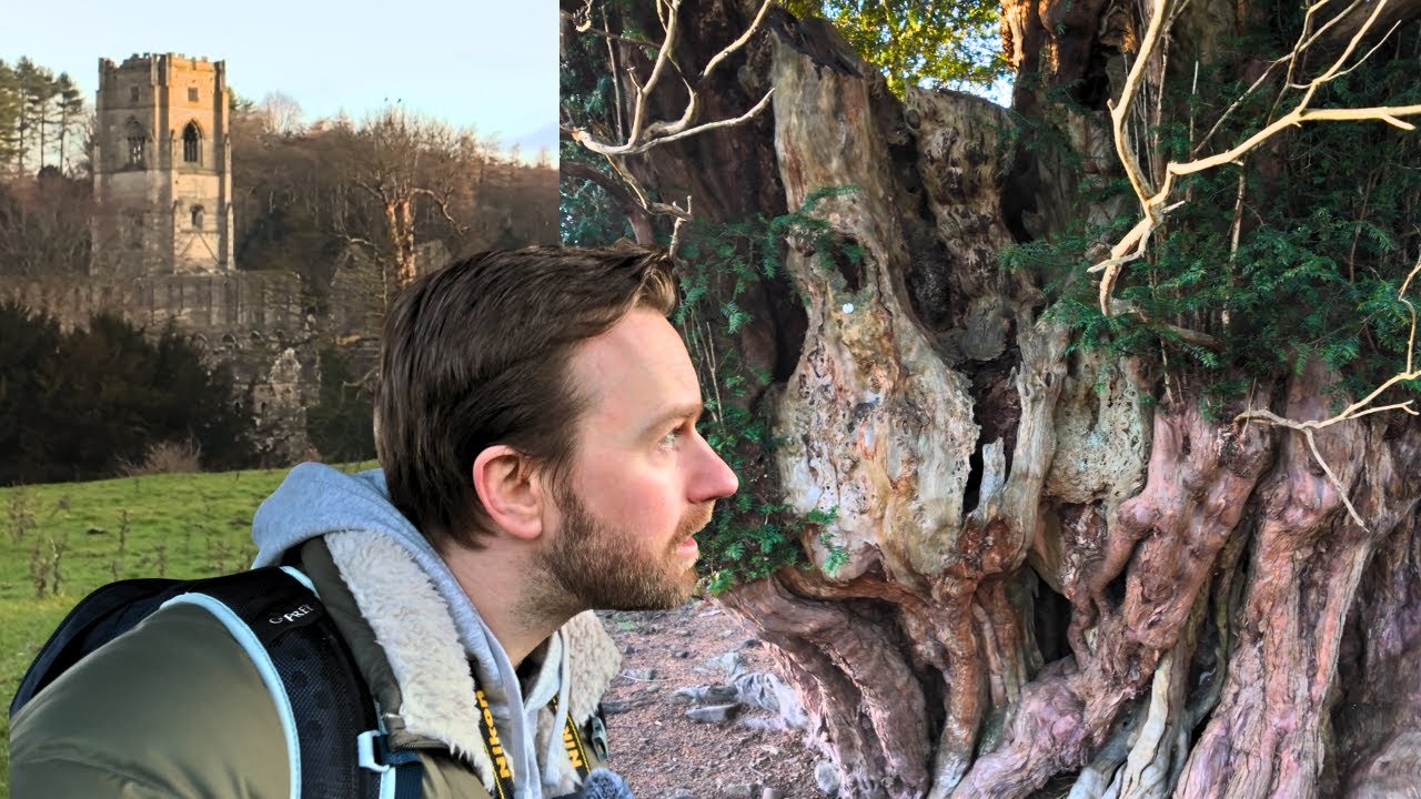 Exploring Fountains Abbey | The Ancient Yew Trees