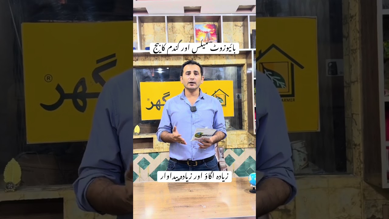 Biozote Max Plant growth Rhizo bacteria | Usages and Benefits | NARC | Kissan Ghar |  #wheat #seed 