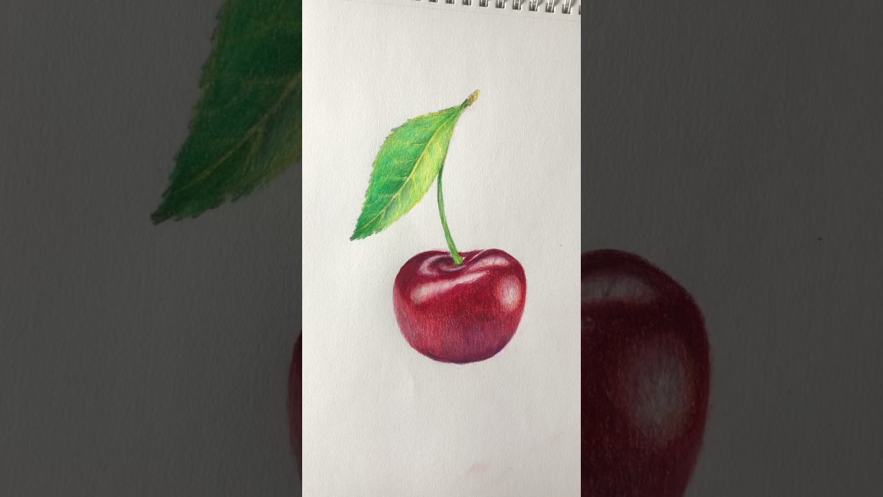 Draw and Color Realistic CHERRY for KIDS #drawing #letsdraw #art