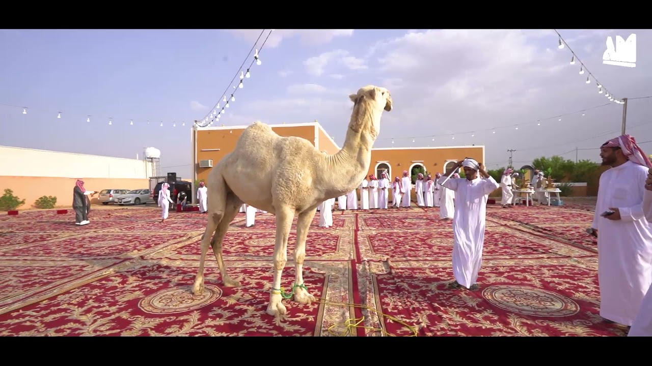 حفل زواج الشاب عبدالله بن سعيد بن مهتما الحارثي