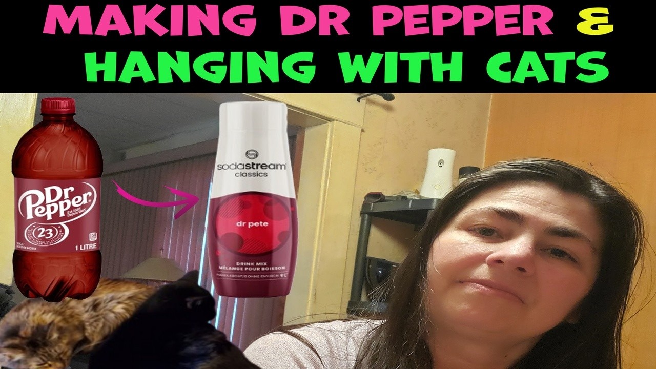 Making Homemade Dr Pepper + Hanging out with my Cats