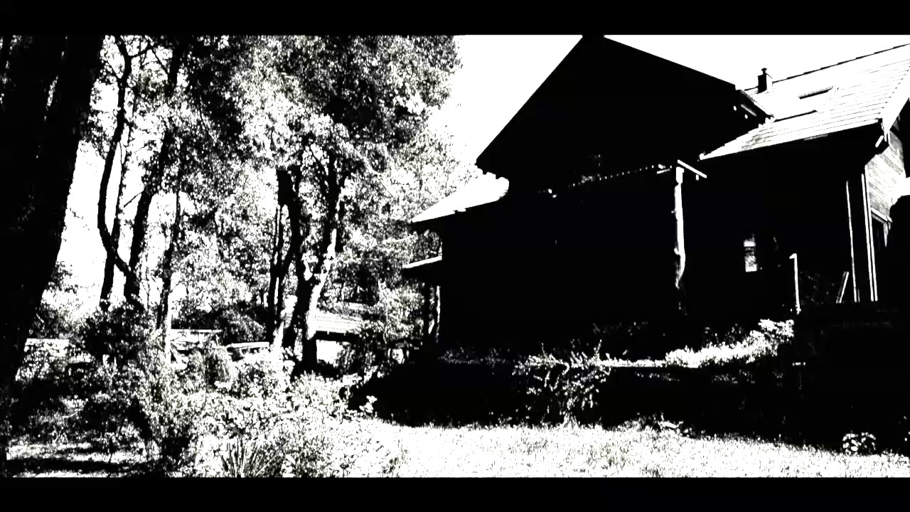 PAT IZERT - FOREST SAY GOOD NIGHT