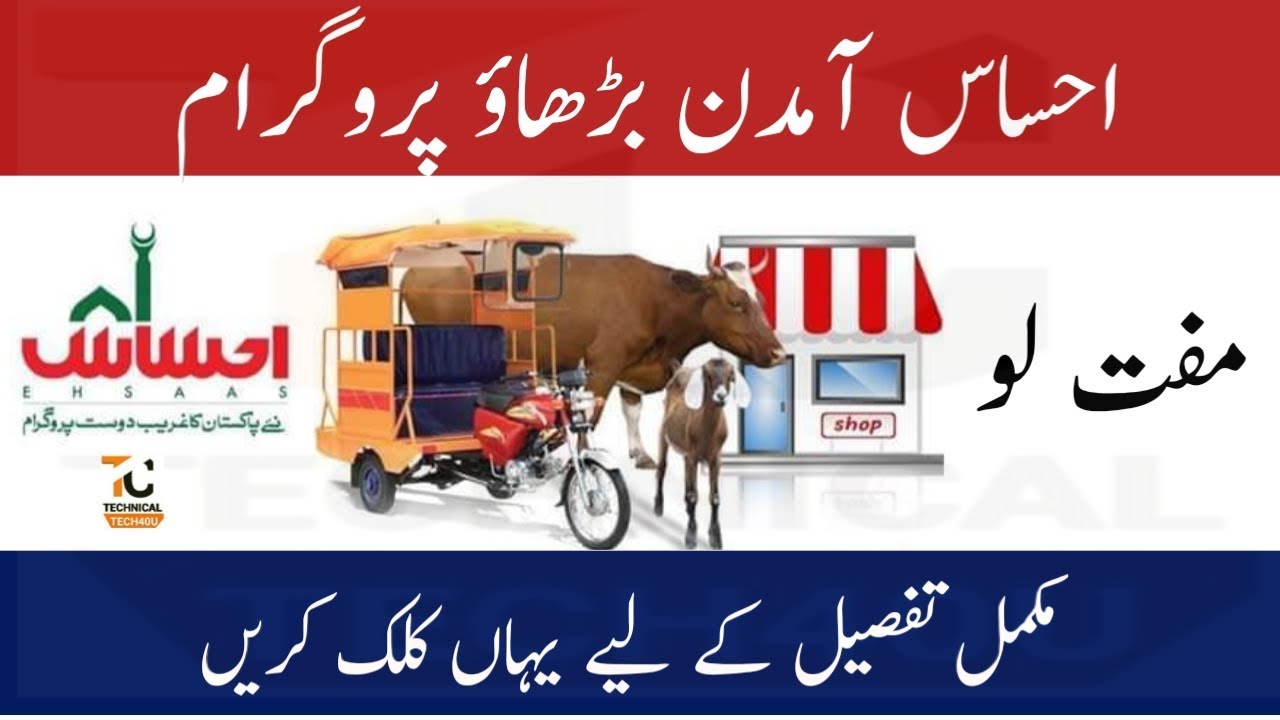 Ehsaas amdan barahao program 2021
