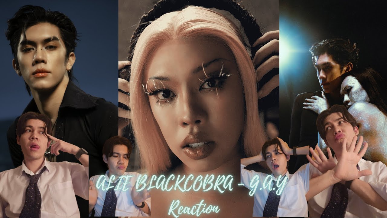 ALIE BLACKCOBRA - G.A.Y MV | Reaction
