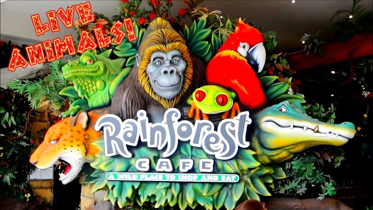 The RAINFOREST CAFE Began In A MAN'S HOUSE?!