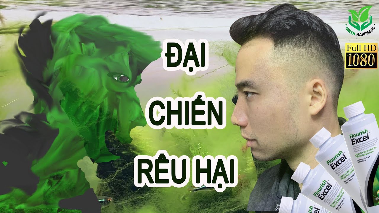 [Vlog Thuỷ sinh] Đại chiến Rêu Hại (Phần 1) 