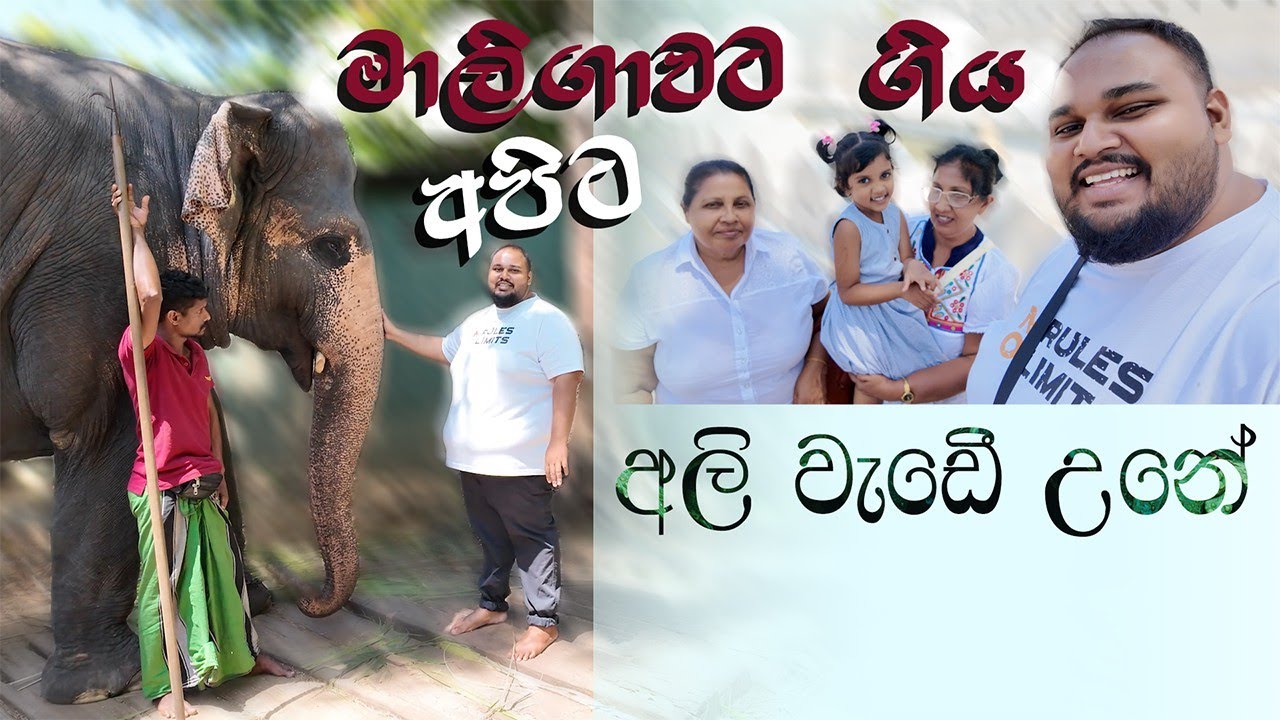 නුවර ගියපු අම්මටයි මටයි රස මතක රොත්තක් | days of chama